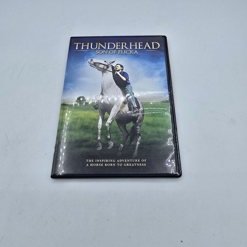 Thunderhead - Son Of Flicka (slimline case DVD, 2012) Kids Movie